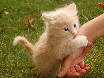 增加空间人气的说说:一见到你,我就知道我再也喜欢不了别人了