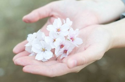 2013流行句子:我什么都不怕,只怕喜欢的人爱上别人