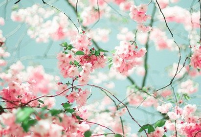 爱情说说带图片:恋爱,要么不开始,要么一辈子!