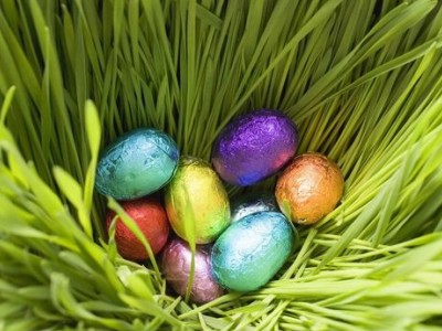 搞笑说说大全:当年我也是颗痴情种子,结果下场雨淹死了