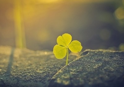 时尚潮流的说说:原来,错过的不止是青春,还有你