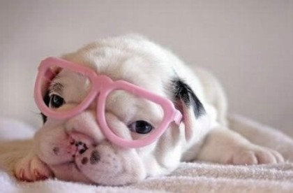 超搞笑说说:像你这么优雅的人,平时都不拉屎吧!