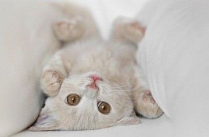 超拽的QQ说说:别隐身了,我老早就把你删了