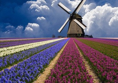 简短的个性说说:你的世界与我无关,我的世界你只配旁观1