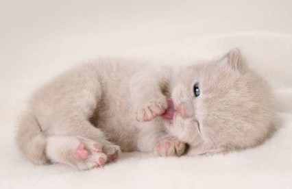 搞笑的心情短语：女人是麻烦，男人就喜欢自找麻烦