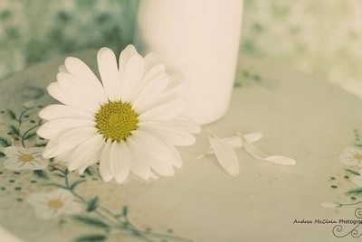 最新空间个性说说:命运握在自己手里,而不是别人嘴里