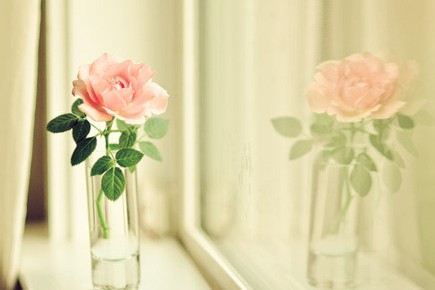 打动人心的QQ说说:有多少我爱你,最后成了对不起