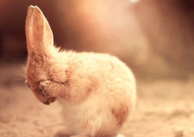 2013伤感心情短语:不要接近我熟悉我心疼我然后离开我