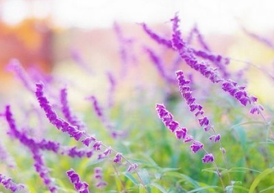 QQ空间说说伤感的:原来,没有哪个人,能够成为你的永远