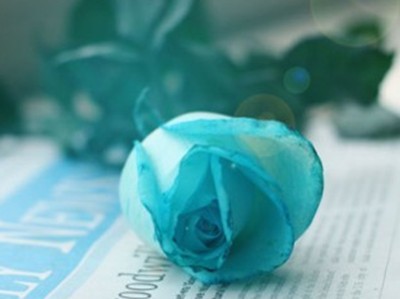 最悲伤的一句话:我一直都在你身后,就差你一个回头